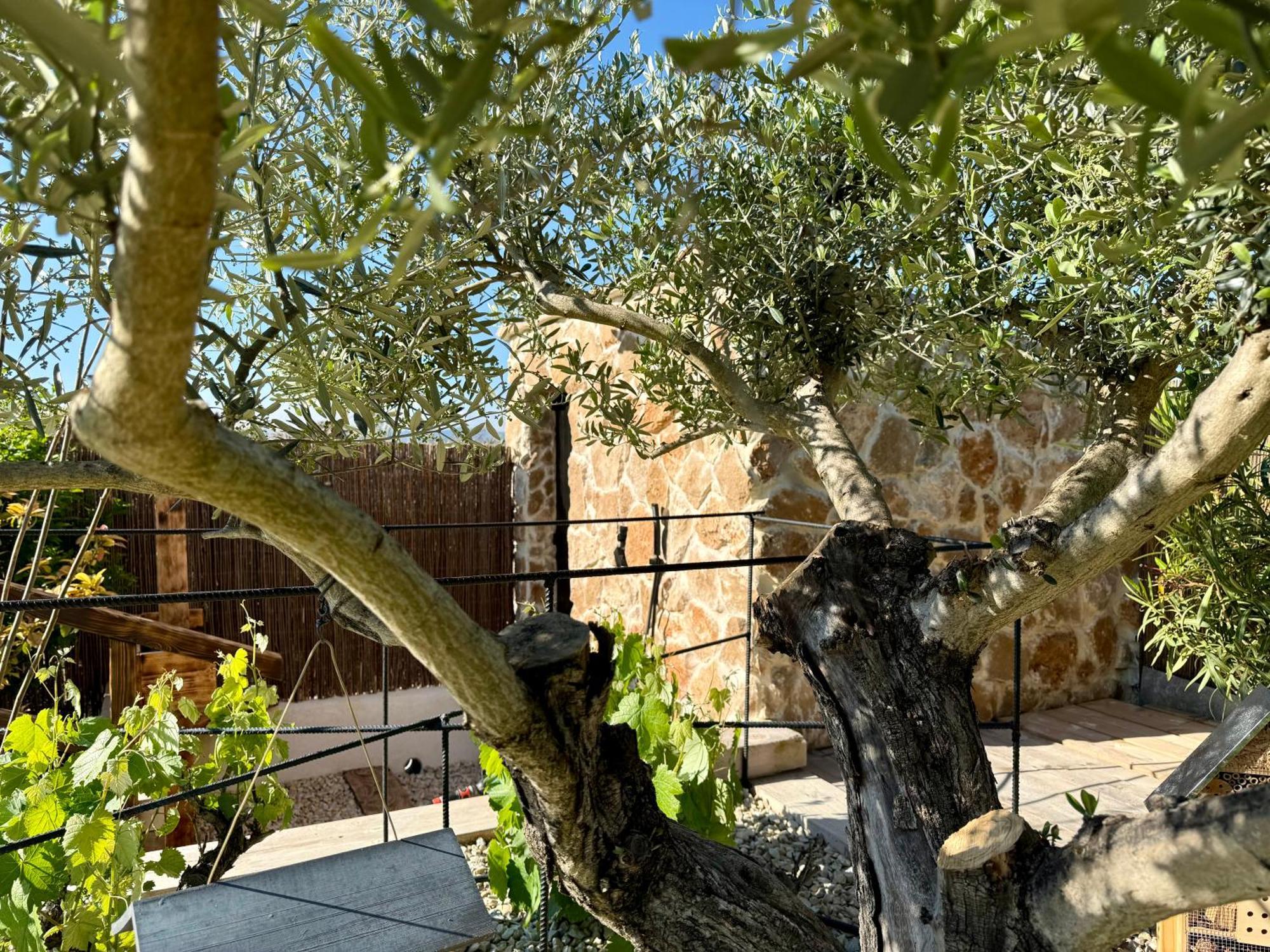 Une Nuit En Luberon Puyvert Exterior photo